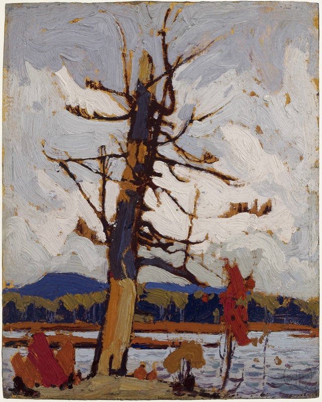 The Dead Pine, Fall 1916 (1916.93) Catalogue entry Tom Thomson